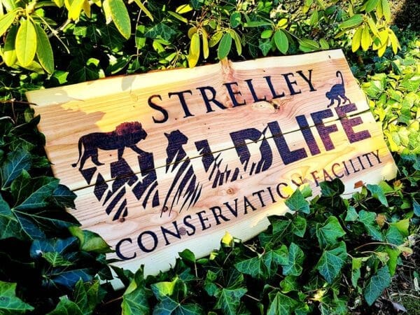 Houten naambord voor binnen en buiten 100x50 cm Strelley Wildlife conservation facility 01